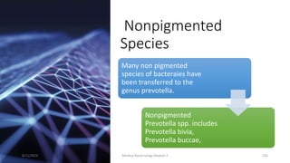 Nonpigmented
Species
Many non pigmented
species of bacteraies have
been transferred to the
genus prevotella.
Nonpigmented
Prevotella spp. includes
Prevotella bivia,
Prevotella buccae,
8/11/2023 Medical Bacteriology Module 2 232
 