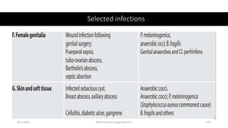 Selected infections
8/11/2023 Medical Bacteriology Module 2 236
 