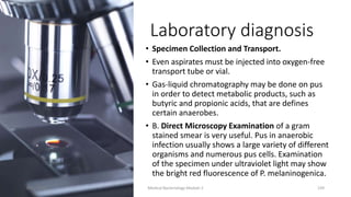 Laboratory diagnosis
• Specimen Collection and Transport.
• Even aspirates must be injected into oxygen-free
transport tube or vial.
• Gas-liquid chromatography may be done on pus
in order to detect metabolic products, such as
butyric and propionic acids, that are defines
certain anaerobes.
• B. Direct Microscopy Examination of a gram
stained smear is very useful. Pus in anaerobic
infection usually shows a large variety of different
organisms and numerous pus cells. Examination
of the specimen under ultraviolet light may show
the bright red fluorescence of P. melaninogenica.
8/11/2023 Medical Bacteriology Module 2 239
 