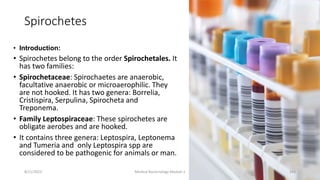 Spirochetes
• Introduction:
• Spirochetes belong to the order Spirochetales. It
has two families:
• Spirochetaceae: Spirochaetes are anaerobic,
facultative anaerobic or microaerophilic. They
are not hooked. It has two genera: Borrelia,
Cristispira, Serpulina, Spirocheta and
Treponema.
• Family Leptospiraceae: These spirochetes are
obligate aerobes and are hooked.
• It contains three genera: Leptospira, Leptonema
and Tumeria and only Leptospira spp are
considered to be pathogenic for animals or man.
8/11/2023 Medical Bacteriology Module 2 243
 