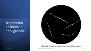 Treponema
pallidum in
dark ground
8/11/2023 Medical Bacteriology Module 2 245
 