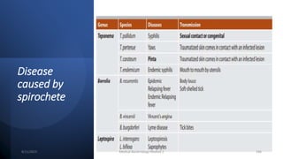 Disease
caused by
spirochete
8/11/2023 Medical Bacteriology Module 2 246
 