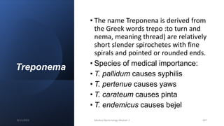 Treponema
• The name Treponena is derived from
the Greek words trepo :to turn and
nema, meaning thread) are relatively
short slender spirochetes with fine
spirals and pointed or rounded ends.
• Species of medical importance:
• T. pallidum causes syphilis
• T. pertenue causes yaws
• T. carateum causes pinta
• T. endemicus causes bejel
8/11/2023 Medical Bacteriology Module 2 247
 