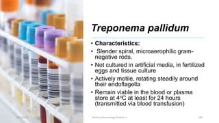 Treponema pallidum
• Characteristics:
• Slender spiral, microaerophilic gram-
negative rods.
• Not cultured in artificial media, in fertilized
eggs and tissue culture
• Actively motile, rotating steadily around
their endoflagella
• Remain viable in the blood or plasma
store at 4oC at least for 24 hours
(transmitted via blood transfusion)
8/11/2023 Medical Bacteriology Module 2 248
 