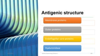 Antigenic structure
Membrane proteins
Outer proteins
Endoflagellar core proteins
Hyaluronidase
8/11/2023 Medical Bacteriology Module 2 249
 