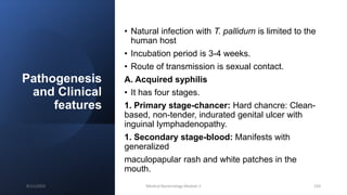 Pathogenesis
and Clinical
features
• Natural infection with T. pallidum is limited to the
human host
• Incubation period is 3-4 weeks.
• Route of transmission is sexual contact.
A. Acquired syphilis
• It has four stages.
1. Primary stage-chancer: Hard chancre: Clean-
based, non-tender, indurated genital ulcer with
inguinal lymphadenopathy.
1. Secondary stage-blood: Manifests with
generalized
maculopapular rash and white patches in the
mouth.
8/11/2023 Medical Bacteriology Module 2 250
 