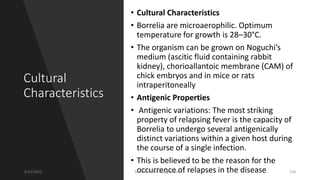 Cultural
Characteristics
• Cultural Characteristics
• Borrelia are microaerophilic. Optimum
temperature for growth is 28–30°C.
• The organism can be grown on Noguchi’s
medium (ascitic fluid containing rabbit
kidney), chorioallantoic membrane (CAM) of
chick embryos and in mice or rats
intraperitoneally
• Antigenic Properties
• Antigenic variations: The most striking
property of relapsing fever is the capacity of
Borrelia to undergo several antigenically
distinct variations within a given host during
the course of a single infection.
• This is believed to be the reason for the
occurrence of relapses in the disease
8/11/2023 Medical Bacteriology Module 2 258
 