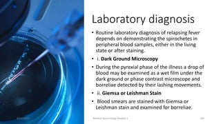 Laboratory diagnosis
• Routine laboratory diagnosis of relapsing fever
depends on demonstrating the spirochetes in
peripheral blood samples, either in the living
state or after staining.
• i. Dark Ground Microscopy
• During the pyrexial phase of the illness a drop of
blood may be examined as a wet film under the
dark ground or phase contrast microscope and
borreliae detected by their lashing movements.
• ii. Giemsa or Leishman Stain
• Blood smears are stained with Giemsa or
Leishman stain and examined for borreliae.
8/11/2023 Medical Bacteriology Module 2 260
 