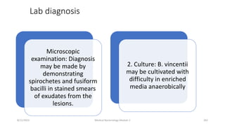 Lab diagnosis
Microscopic
examination: Diagnosis
may be made by
demonstrating
spirochetes and fusiform
bacilli in stained smears
of exudates from the
lesions.
2. Culture: B. vincentii
may be cultivated with
difficulty in enriched
media anaerobically
8/11/2023 Medical Bacteriology Module 2 262
 
