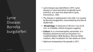 Lyme
Disease:
Borrelia
burgdorferi
• Lyme disease was identified in 1975. Lyme
disease or Lyme borreliosis (originally Lyme
arthritis), as it was first observed in Lyme,
Connecticut., USA.
• The disease is widespread in the USA. It is caused
by Borrelia burgdorferi, transmitted by the bite of
Ixodid ticks.
• Morphology: It measures 4–30 mm × 0.2–0.25
mm. It is flexible, helical and gram-negative.
• Culture: It is a microaerophilic spirochete. It is
fastidious bacterium and can be grown in a
modified Kelley’s (BSK-Barbour, Stonner Kelly)
medium, after incubation for two weeks or more.
• Optimum temperature for growth is 33°C
8/11/2023 Medical Bacteriology Module 2 263
 