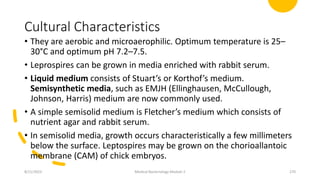 Cultural Characteristics
• They are aerobic and microaerophilic. Optimum temperature is 25–
30°C and optimum pH 7.2–7.5.
• Leprospires can be grown in media enriched with rabbit serum.
• Liquid medium consists of Stuart’s or Korthof’s medium.
Semisynthetic media, such as EMJH (Ellinghausen, McCullough,
Johnson, Harris) medium are now commonly used.
• A simple semisolid medium is Fletcher’s medium which consists of
nutrient agar and rabbit serum.
• In semisolid media, growth occurs characteristically a few millimeters
below the surface. Leptospires may be grown on the chorioallantoic
membrane (CAM) of chick embryos.
8/11/2023 Medical Bacteriology Module 2 270
 