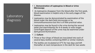 Laboratory
diagnosis
• 1. Demonstration of Leptospiras in Blood or Urine
Microscopy
• As leptospires disappear from the blood after the first week,
blood examination is helpful only in the early stages of the
disease.
• Leptospires may be demonstrated by examination of the
blood under the dark field microscope or by
immunofluorescence but this is of little practical value.
• Leptospires may be found in the urine during the second
week and intermittently for 4–6 weeks or even longer.
Centrifuged deposit of the urine may be examined under
dark ground illumination.
• 2. Culture
• Three or four drops of blood are inoculated into each of
several bijou bottles containing EMJH or similar medium.
• The bottles are incubated at 37°C for two days and left
thereafter at room temperature in the dark for two weeks
8/11/2023 Medical Bacteriology Module 2 275
 