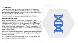 o Morphology
. Mycoplasmas are the smallest free living microorganisms.
They can pass through bacterial filters. They lack cell wall but
are bounded by a trilaminar membrane 8–10 nm thick which is
rich in cholesterol and other lipids.
Mycoplasmas do not possess spores, flagella or fimbria.
Cultural Characteristics
Most mycoplasmas are facultatively anaerobic but, since
organisms from primary tissue specimens frequently grow only
under anaerobic conditions, an atmosphere of 95% nitrogen
and 5% carbon dioxide is preferred for primary isolation. They
grow within a temperature range of 22–41°C, the parasitic
species growing optimally at 35–37 °C and the saprophytes at
lower temperatures
Media for cultivating Mycoplasma are enriched with 20% horse
or human serum and yeast extract. The high concentration of
serum is necessary
as a source of cholesterol and other lipids. Mycoplasmas may
be cultivated in liquid or solid media
8/11/2023 Medical Bacteriology Module 2 278
 