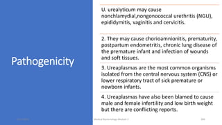 Pathogenicity
U. urealyticum may cause
nonchlamydial,nongonococcal urethritis (NGU),
epididymitis, vaginitis and cervicitis.
2. They may cause chorioamnionitis, prematurity,
postpartum endometritis, chronic lung disease of
the premature infant and infection of wounds
and soft tissues.
3. Ureaplasmas are the most common organisms
isolated from the central nervous system (CNS) or
lower respiratory tract of sick premature or
newborn infants.
4. Ureaplasmas have also been blamed to cause
male and female infertility and low birth weight
but there are conflicting reports.
8/11/2023 Medical Bacteriology Module 2 284
 