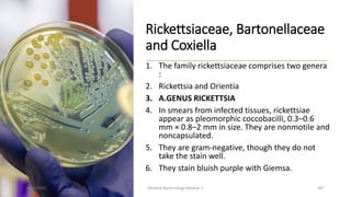 Rickettsiaceae, Bartonellaceae
and Coxiella
1. The family rickettsiaceae comprises two genera
:
2. Rickettsia and Orientia
3. A.GENUS RICKETTSIA
4. In smears from infected tissues, rickettsiae
appear as pleomorphic coccobacilli, 0.3–0.6
mm × 0.8–2 mm in size. They are nonmotile and
noncapsulated.
5. They are gram-negative, though they do not
take the stain well.
6. They stain bluish purple with Giemsa.
8/11/2023 Medical Bacteriology Module 2 287
 