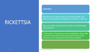 RICKETTSIA
Cultivation
Rickettsiae are unable to grow in cell free media. The
optimum temperature for growth is 32–35°C. 1. Yolk sac:
They are readily cultivated in the yolk sac of developing
chick embryos.
2. Cell culture: They grow on mouse fibroblast, HeLa, HEp-
2, Detroit 6 and other continuous cell lines but tissue
cultures are not satisfactory for primary isolation.
.
8/11/2023 Medical Bacteriology Module 2 288
 
