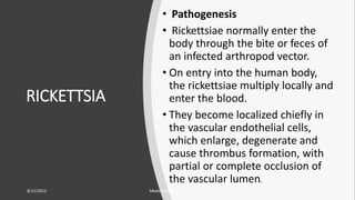 RICKETTSIA
• Pathogenesis
• Rickettsiae normally enter the
body through the bite or feces of
an infected arthropod vector.
• On entry into the human body,
the rickettsiae multiply locally and
enter the blood.
• They become localized chiefly in
the vascular endothelial cells,
which enlarge, degenerate and
cause thrombus formation, with
partial or complete occlusion of
the vascular lumen.
8/11/2023 Medical Bacteriology Module 2 290
 