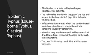 Epidemic
Typhus (Louse-
borne Typhus,
Classical
Typhus)
• The lice become infected by feeding on
rickettsiaemic patients.
• The rickettsiae multiply in the gut of the lice and
appear in the feces in 3–5 days. Lice defecate
while feeding.
• Infection is transmitted when the contaminated
louse feces is rubbed through the minute
abrasions caused by scratching.
• infection may also be transmitted by aerosols of
dried louse feces through inhalation or through
the conjunctiva.
• The case fatality may reach 40% and increases
with age.
8/11/2023 Medical Bacteriology Module 2 292
 