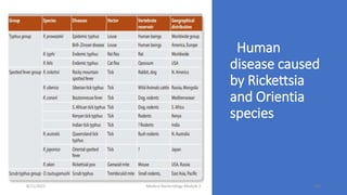 Human
disease caused
by Rickettsia
and Orientia
species
8/11/2023 Medical Bacteriology Module 2 298
 