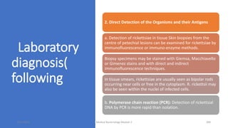 Laboratory
diagnosis(
following
2. Direct Detection of the Organisms and their Antigens
a. Detection of rickettsiae in tissue Skin biopsies from the
centre of petechial lesions can be examined for rickettsiae by
immunofluorescence or immuno-enzyme methods.
Biopsy specimens may be stained with Giemsa, Macchiavello
or Gimenez stains and with direct and indirect
immunofluorescence techniques.
In tissue smears, rickettsiae are usually seen as bipolar rods
occurring near cells or free in the cytoplasm. R. rickettsii may
also be seen within the nuclei of infected cells.
b. Polymerase chain reaction (PCR): Detection of rickettsial
DNA by PCR is more rapid than isolation.
8/11/2023 Medical Bacteriology Module 2 300
 