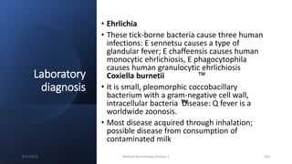 Laboratory
diagnosis
• Ehrlichia
• These tick-borne bacteria cause three human
infections: E sennetsu causes a type of
glandular fever; E chaffeensis causes human
monocytic ehrlichiosis, E phagocytophila
causes human granulocytic ehrlichiosis
Coxiella burnetii ™
• It is small, pleomorphic coccobacillary
bacterium with a gram-negative cell wall,
intracellular bacteria ™
Disease: Q fever is a
worldwide zoonosis.
• Most disease acquired through inhalation;
possible disease from consumption of
contaminated milk
8/11/2023 Medical Bacteriology Module 2 303
 