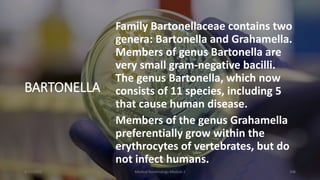 BARTONELLA
Family Bartonellaceae contains two
genera: Bartonella and Grahamella.
Members of genus Bartonella are
very small gram-negative bacilli.
The genus Bartonella, which now
consists of 11 species, including 5
that cause human disease.
Members of the genus Grahamella
preferentially grow within the
erythrocytes of vertebrates, but do
not infect humans.
8/11/2023 Medical Bacteriology Module 2 308
 