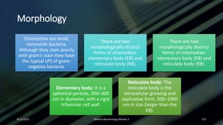 Morphology
Chlamydiae are small,
nonmotile bacteria.
Although they stain poorly
with gram’s stain they have
the typical LPS of gram-
negative bacteria.
There are two
morphologically distinct
forms of chlamydiae:
elementary body (EB) and
reticulate body (RB).
There are two
morphologically distinct
forms of chlamydiae:
elementary body (EB) and
reticulate body (RB).
Elementary body: It is a
spherical particle, 200–300
nm in diameter, with a rigid
trilaminar cell wall.
Reticulate body: The
reticulate body is the
intracellular growing and
replicative form, 500–1000
nm in size (larger than the
EB).
8/11/2023 Medical Bacteriology Module 2 312
 
