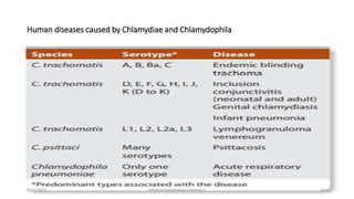 Human diseases caused by Chlamydiae and Chlamydophila
8/11/2023 Medical Bacteriology Module 2 313
 