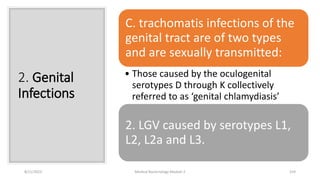 2. Genital
Infections
C. trachomatis infections of the
genital tract are of two types
and are sexually transmitted:
• Those caused by the oculogenital
serotypes D through K collectively
referred to as ‘genital chlamydiasis’
2. LGV caused by serotypes L1,
L2, L2a and L3.
8/11/2023 Medical Bacteriology Module 2 319
 