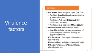Virulence
factors
• Nucleases: Four antigenic types (A,B,C,D)
• Facilitate liquefication of pus generating
growth substrates
• Nucleases A, C have DNase activity
producing runny pus
• Nucleases B, D also have RNase activity
• Streptokinases: Two different forms
• Lyse blood clots: catalyze conversion of
plasminogen to plasmin, leading to
digestion of fibrin
• C5a Peptidase: destroys C’ chemotactic
signals (C5a)
• Hyaluronidase: hydrolyzes hyaluronic acid
• Others: Proteinase, NADase, ATPase,
phosphatase, etc
Enzymes:
8/11/2023 Medical Bacteriology Module 2 32
 