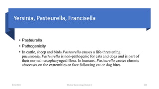 Yersinia, Pasteurella, Francisella
• Pasteurella
• Pathogenicity
• In cattle, sheep and birds Pasteurella causes a life-threatening
pneumonia. Pasteurella is non-pathogenic for cats and dogs and is part of
their normal nasopharyngeal flora. In humans, Pasteurella causes chronic
abscesses on the extremities or face following cat or dog bites.
8/11/2023 Medical Bacteriology Module 2 320
 
