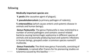 following
Medically important species are:
Y. pestis (the causative agent of plague);
Y. pseudotuberculosis (a primary pathogen of rodents);
Y. enterocolitica (which causes enteric and systemic disease in
animals and human beings).
Genus Pasteurella: The genus Pasteurella is now restricted to a
number of animal pathogens and contains several related
bacteria causing hemorrhagic septicemia in different species of
animals and occasionally producing local and systemic infections
in human beings, grouped under a common species named P.
multocida.
Genus Francisella: The third new genus Francisella, consisting of
F. tularensis, is named after Francis for his pioneering studies on
tularemia caused by this bacillus
8/11/2023 Medical Bacteriology Module 2 325
 