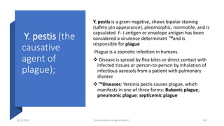 Y. pestis (the
causative
agent of
plague);
Y. pestis is a gram-negative, shows bipolar staining
(safety pin appearance), pleomorphic, nonmotile, and is
capsulated F- I antigen or envelope antigen has been
considered a virulence determinant ™ and is
responsible for plague
Plague is a zoonotic infection in humans.
 Disease is spread by flea bites or direct contact with
infected tissues or person-to-person by inhalation of
infectious aerosols from a patient with pulmonary
disease
™ Diseases: Yersinia pestis causes plague, which
manifests in one of three forms: Bubonic plague;
pneumonic plague; septicemic plague
8/11/2023 Medical Bacteriology Module 2 326
 