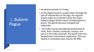 1. Bubonic
Plague
• Incubation period is 2–5 days.
• As the plague bacillus usually enters through the
bite of infected flea on the legs, the inguinal
lymph nodes are involved, hence the name
bubonic plague (bubo means enlarged gland in
groin). The glands become enlarged and
suppurate.
• The bubo may be preceded by prodromata of
chills, fever, malaise, confusion, nausea, and
pains in the limbs and back. The bacilli enter the
bloodstream and produce septicemia. The case
fatality in untreated cases may be 30–90%.
8/11/2023 Medical Bacteriology Module 2 327
 