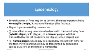 Epidemiology
• Several species of fleas may act as vectors, the most important being
Xenopsylla cheopis, X. astia and Ceratophyllus fasciatus.
• Plague is perpetuated by three cycles:
• (i) natural foci among commensal rodents with transmission by fleas
(sylvatic plague, wild plague), (ii) urban rat plague, which is
transmitted by the rat flea (domestic plague, urban plague), and
• (iii) human plague, which may be acquired by contact with either of
the former cycles and which may be transmitted by pneumonic
spread or, rarely, by the bite of a human flea
8/11/2023 Medical Bacteriology Module 2 330
 
