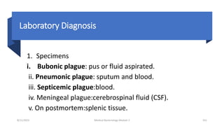 Laboratory Diagnosis
1. Specimens
i. Bubonic plague: pus or fluid aspirated.
ii. Pneumonic plague: sputum and blood.
iii. Septicemic plague:blood.
iv. Meningeal plague:cerebrospinal fluid (CSF).
v. On postmortem:splenic tissue.
8/11/2023 Medical Bacteriology Module 2 331
 