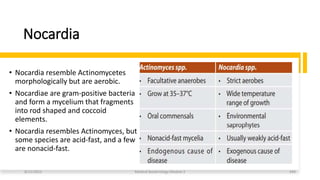 Nocardia
• Nocardia resemble Actinomycetes
morphologically but are aerobic.
• Nocardiae are gram-positive bacteria
and form a mycelium that fragments
into rod shaped and coccoid
elements.
• Nocardia resembles Actinomyces, but
some species are acid-fast, and a few
are nonacid-fast.
8/11/2023 Medical Bacteriology Module 2 344
 