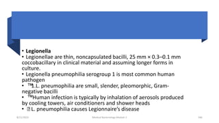 • Legionella
• Legionellae are thin, noncapsulated bacilli, 25 mm × 0.3–0.1 mm
coccobacillary in clinical material and assuming longer forms in
culture.
• Legionella pneumophilia serogroup 1 is most common human
pathogen
• ™1.L. pneumophilia are small, slender, pleomorphic, Gram-
negative bacilli
• ™ Human infection is typically by inhalation of aerosols produced
by cooling towers, air conditioners and shower heads
• ™ L. pneumophilia causes Legionnaire’s disease
8/11/2023 Medical Bacteriology Module 2 346
 