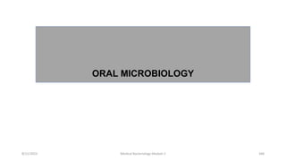ORAL MICROBIOLOGY
8/11/2023 Medical Bacteriology Module 2 348
 