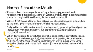 Normal Flora of the Mouth
• The mouth contains a plethora of organisms— pigmented and
nonpigmented micrococci, some of which aerobic, gram-positive aerobic
spore,bearing bacilli, coliforms, Proteus and lactobacilli.
• Within 4–12 hours after birth, viridans streptococci become established
as the most prominent members of the resident flora.
• Early in life, aerobic and anerobic staphylococci, gram-negative diplococci
(neisseriae, Moraxella catarrhalis), diphtheroids, and occasional
lactobacilli are added.
• When teeth begin to erupt, the anerobic spirochetes, prevotella species
(especially P melaninogenica), Fusobacterium species, Rothia species,
and Capnocytophaga species establish themselves, along with some
anerobic vibrios and lactobacilli. Yeasts (Candida species) occur in the
mouth.
8/11/2023 Medical Bacteriology Module 2 349
 