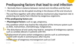 Predisposing factors that lead to oral infection
• - Normally there is balance between normal oral microflora and the host
• -This balance can be disrupted resulting in the disease of the oral structure
- The oral flora together with other defense mechanism play important role in
protecting oral cavity from infection by exogenous organisms.
The predisposing factors are:
• -Physiological factors: such as age, pregnancy,
- Any condition which may lead to the reduction of the immune system such
as AIDS, malnutrition, chemotherapy, malignancies.
• -The disturbance of oral cavity may lead to overgrow of endogenous species
such as candida albicans in patients with HIV.
- Displacement of some certain endogenous species such as actinomyces
israelili with results in actinomycosis after trauma
- Introduction of exogenous microorganism such as E.coli
8/11/2023 Medical Bacteriology Module 2 351
 