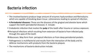 Bacteria infection
• The involved bacteria produce large amount of enzymes hyaluronidase and fibrinolysins
which are capable of breaking down tissue cohesiveness leading to spread of infection.
• 4.Periodontal diseases: Those are the diseases of the gingival and alveolar bone which
support the teeth (periodontal disease). It include:
 Endodontic infection that involve the pulp of the tooth after trauma or carious exposure.
Periapical infections which resulting from extension of bacteria from infected palp
through the apex of the tooth
Abscesses: May form from periapical infections or from deep periodontal pockets.
• Pathogenesis is multifactorial and results from the interaction of the body and its
defense mechanisms with products from the bacteria plaques
• The mechanisms of bacteria destruction include:
8/11/2023 Medical Bacteriology Module 2 353
 
