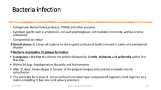 Bacteria infection
- Collagenase, Hyluronidase,protease, DNASE,and other enzymes.
- Cytotoxic agents such as endotoxins, cell wall peptidoglycan, cell mediated immunity, with lysozymes
activations.
- Complement activation
Dental plaque: Is a layer of bacteria on the erupted surfaces of teeth that lead to caries and periodontal
disease
Bacteria responsible for plaque formation
 S.sanguinis is the first to colonize the pellicle followed by S.mitis , Neisseria and veillonella within first
few days.
 Within 14 days: Fusobacterium,Nocardia and Actinomyctes
 After 21 days: Dense plaque is formed at the gingival margins and contains anaerobic motile
spirocheates
 The end is the formation of dense confluent microbial layer composed of organisms held together by a
matrix consisting of bacterial and salivary polymers
8/11/2023 Medical Bacteriology Module 2 354
 