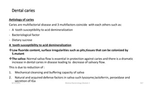 Dental caries
Aetiology of caries
Caries are multifactorial disease and 3 multifactors coincide with each others such as:
- A tooth susceptibility to acid demineralization
- Bacteriological factor
- Dietary sucrose
A tooth susceptibility to acid demineralization
Low fluoride content, surface irregularities such as pits,tissues that can be colonized by
S.mutant
The saliva: Normal saliva flow is essential in protection against caries and there is a dramatic
increase in dental caries in disease leading to decrease of salivary flow.
This is due to reduction of :
1. Mechanical cleansing and buffering capacity of saliva
2. Natural and acquired defense factors in saliva such lysozyme,lactoferrin, peroxidase and
secretion of IGa
8/11/2023 Medical Bacteriology Module 2 357
 