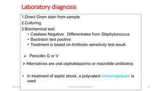 Laboratory diagnosis
1.Direct Gram stain from sample
2.Culturing
3.Biochemical test:
• Catalase Negative: Differentiates from Staphylococcus
• Bacitracin test positive
• Treatment is based on Antibiotic sensitivity test result.
 Penicillin G or V
Alternatives are oral cephalosporins or macrolide antibiotics
• In treatment of septic shock, a polyvalent immunoglobulin is
used
8/11/2023 Medical Bacteriology Module 2 36
 