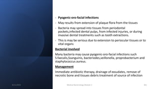 - Pyogenic-oro-facial infections
- May results from extension of plaque flora from the tissues
- Bacteria may spread into tissues from periodontal
pockets,infected dental pulps, from infected injuries, or during
invasive dental treatments such as tooth extractions.
- This is may be serious due to extension to periocular tissues or to
vital organs
Bacterial involved
Many bacteria may cause pyogenic-oro-facial infections such
S.faecalis,Ssanguinis, bacteriodes,veillonella, proprobacterium and
staphylococcus aureus.
Management
Immediate antibiotic therapy, drainage of exsudates, remove of
necrotic bone and tissues debris treatment of source of infection
8/11/2023 Medical Bacteriology Module 2 361
 