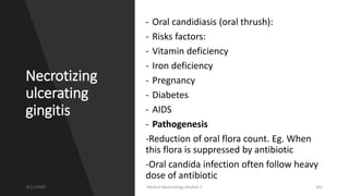 Necrotizing
ulcerating
gingitis
- Oral candidiasis (oral thrush):
- Risks factors:
- Vitamin deficiency
- Iron deficiency
- Pregnancy
- Diabetes
- AIDS
- Pathogenesis
-Reduction of oral flora count. Eg. When
this flora is suppressed by antibiotic
-Oral candida infection often follow heavy
dose of antibiotic
8/11/2023 Medical Bacteriology Module 2 363
 