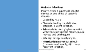 Oral viral infections
Involve either a superficial specific
disease or one phase of systemic
disease.
- Caused by HSV-1
- Characterized by the ability to
establish a latent infection.
- Primary infection: gingivostomatitis
with vesicles inside the mouth, buccal
mucosa and on the gums
- Latency: In trigeminal ganglia.
- Reactivation: By various stimuli
(common cold, sun, light)to cause
recurrent infection.
8/11/2023 Medical Bacteriology Module 2 366
 