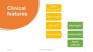 Clinical
features
Lobar
Pneumonia
Otitis media
Sinusitis
Bacteremia:
Meningitis
Endocarditis
Septic
arthritis
8/11/2023 Medical Bacteriology Module 2 41
 