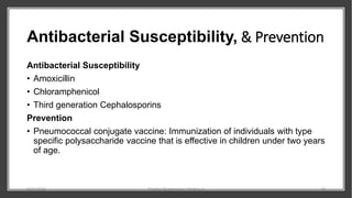 Antibacterial Susceptibility, & Prevention
Antibacterial Susceptibility
• Amoxicillin
• Chloramphenicol
• Third generation Cephalosporins
Prevention
• Pneumococcal conjugate vaccine: Immunization of individuals with type
specific polysaccharide vaccine that is effective in children under two years
of age.
8/11/2023 Medical Bacteriology Module 2 43
 